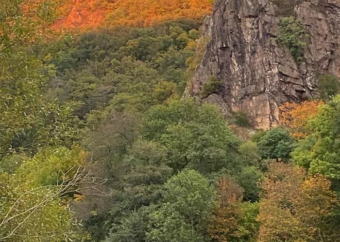 Am Fluss. Baubiologisch Renoviert. * Bad Kreuznach