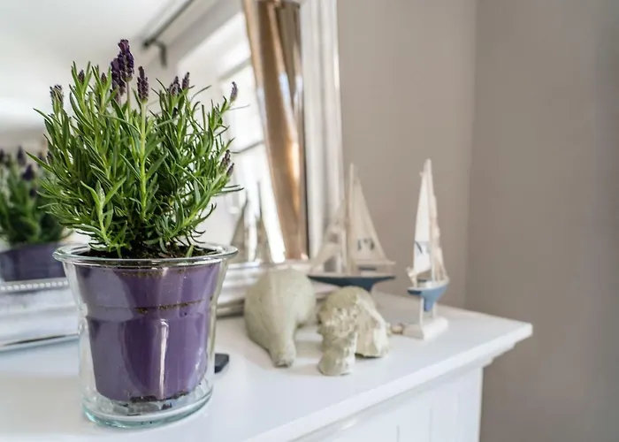 Am Fluss. Baubiologisch Renoviert. Vakantiehuis Bad Kreuznach